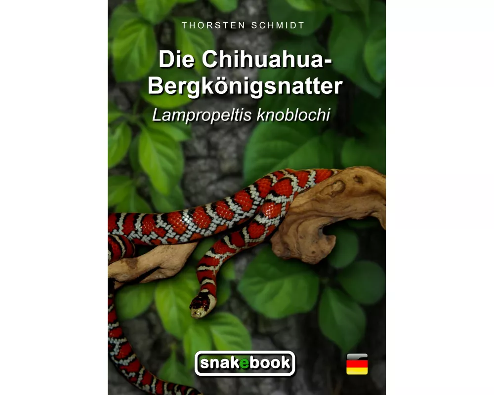 Die Chihuahua-Bergkönigsnatter