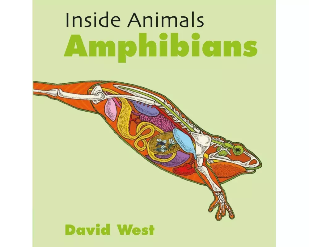 Inside Animals: Amphibians