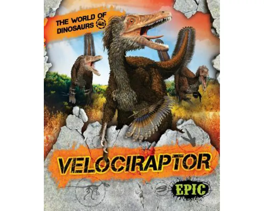 Velociraptor