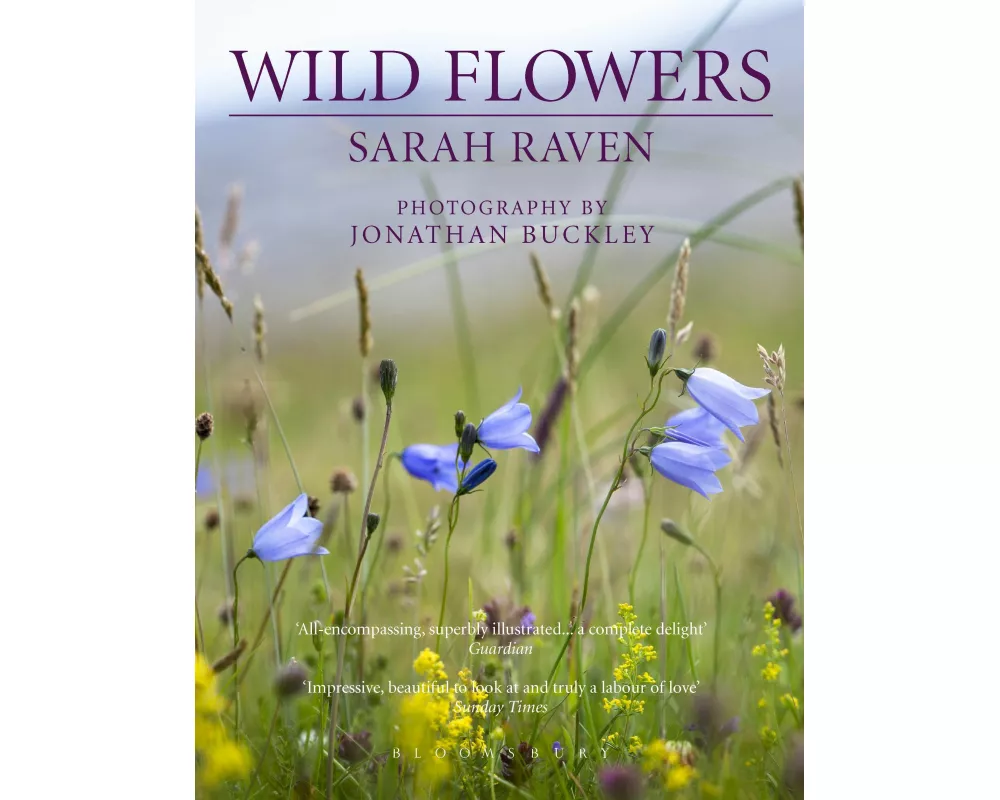 Sarah Raven's Wild Flowers