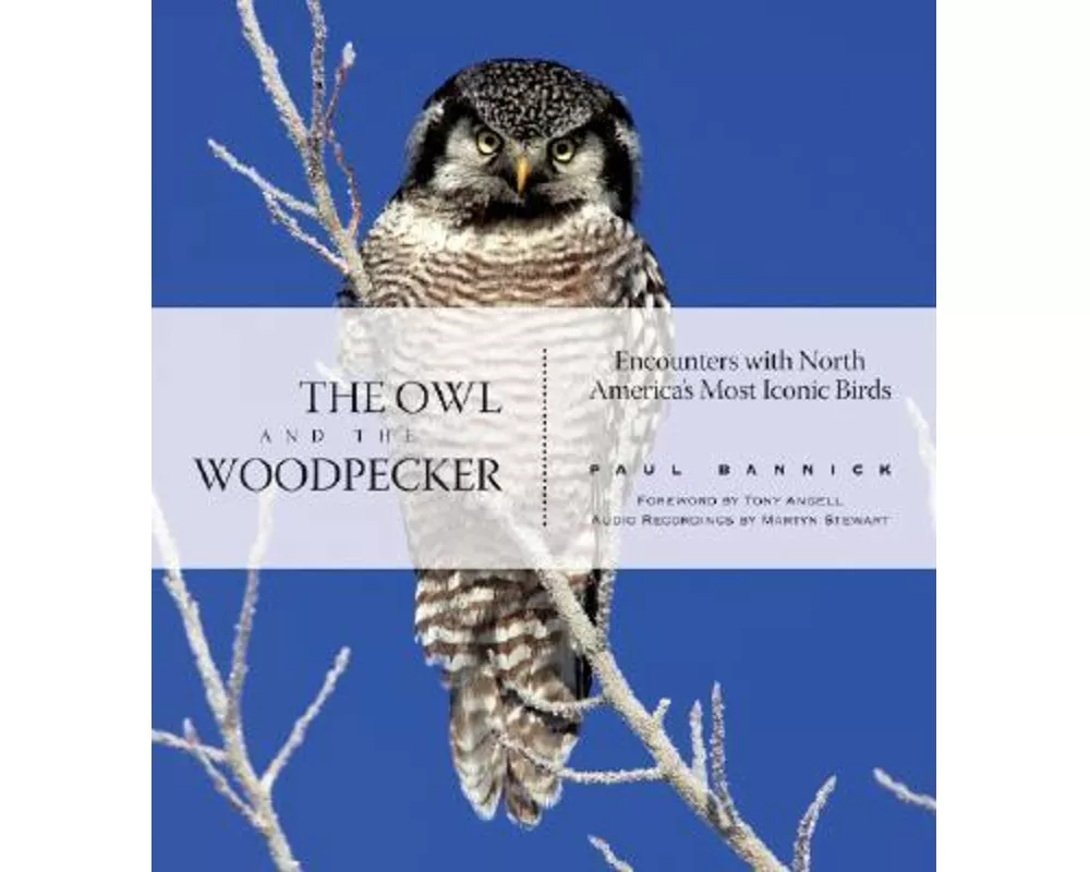 The Owl and the Woodpecker: Encounters with North America's Most Iconic Birds [With CD]