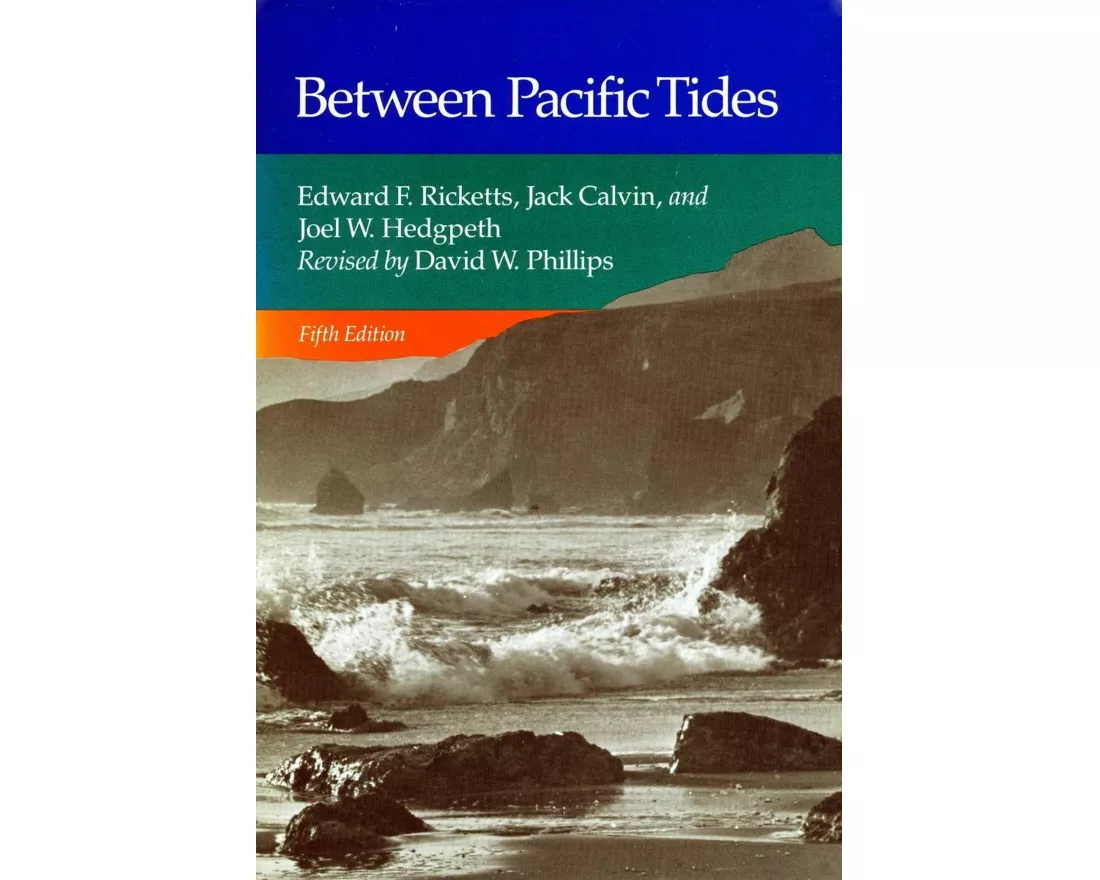 Between Pacific Tides