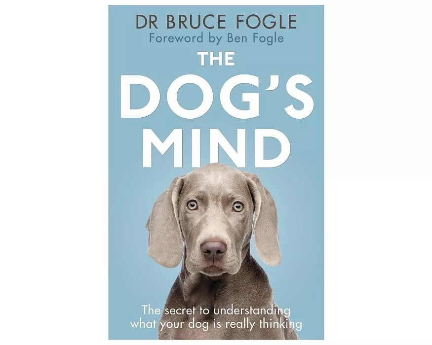 The Dog's Mind