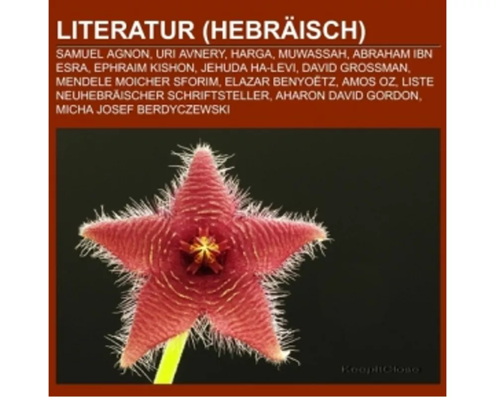 Literatur (Hebräisch)