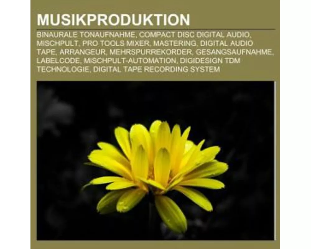 Musikproduktion