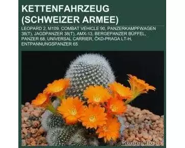 Kettenfahrzeug (Schweizer Armee)