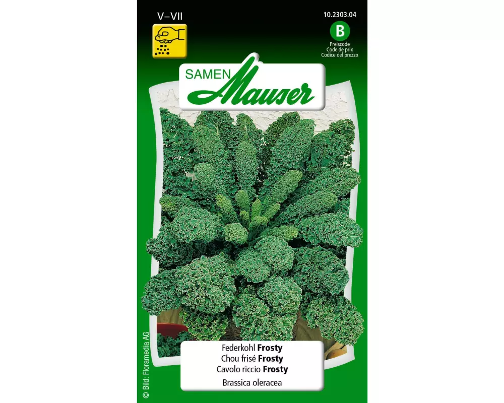 Samen Mauser Samen Federkohl Frosty