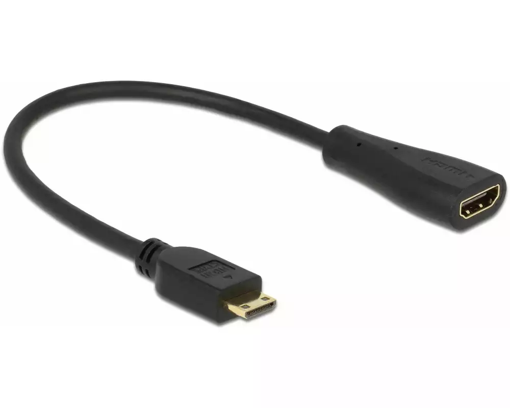 Delock Adapterkabel Mini-HDMI (HDMI-C) - HDMI
