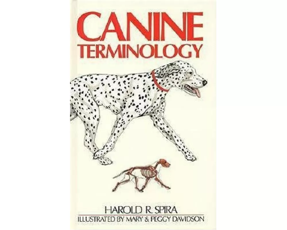Canine Terminology
