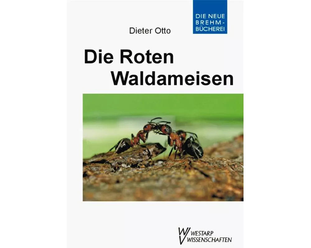 Die roten Waldameisen