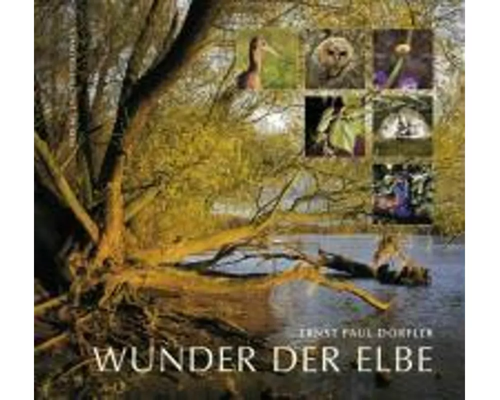 Wunder der Elbe