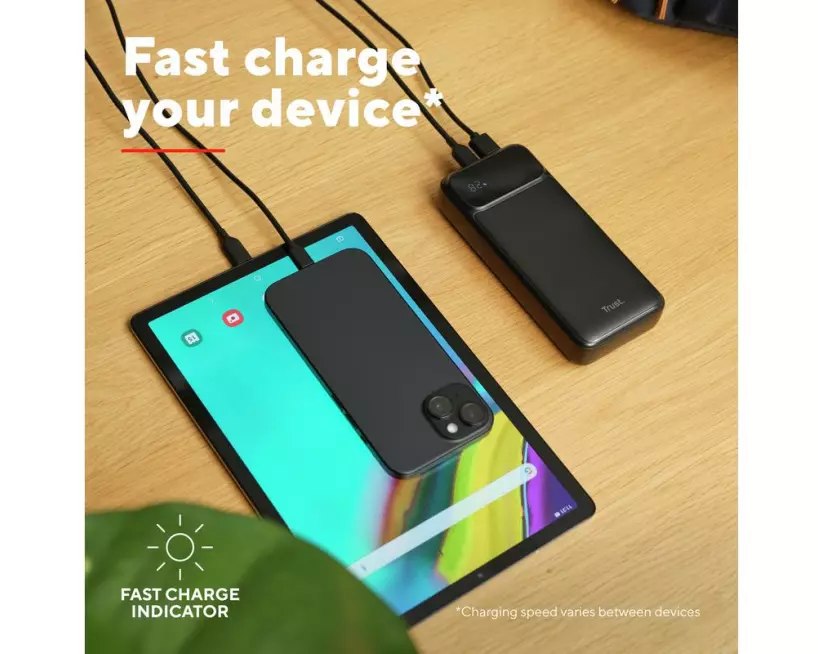 Trust Avala 20.000 mAh fast PD powerbank LED-Display 20W