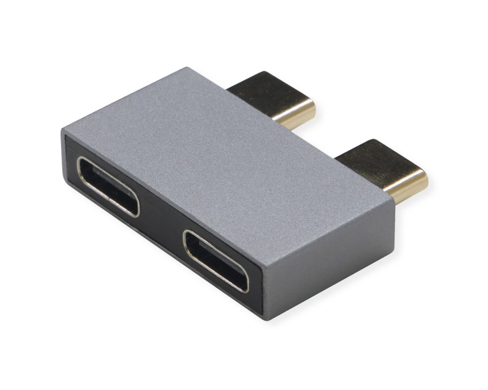 ROLINE USB 3.2 Gen 2 Adapter, 2x USB Typ C - 2x Typ C, ST/BU, silberfarben