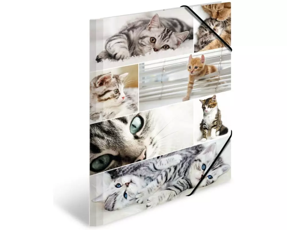 HERMA Gummibandmappe A3 Katzen, Karton, mit Innendruck