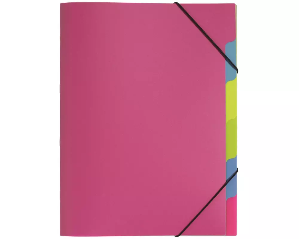 Pagna Ordnungsmappe A4 Funky School Pink