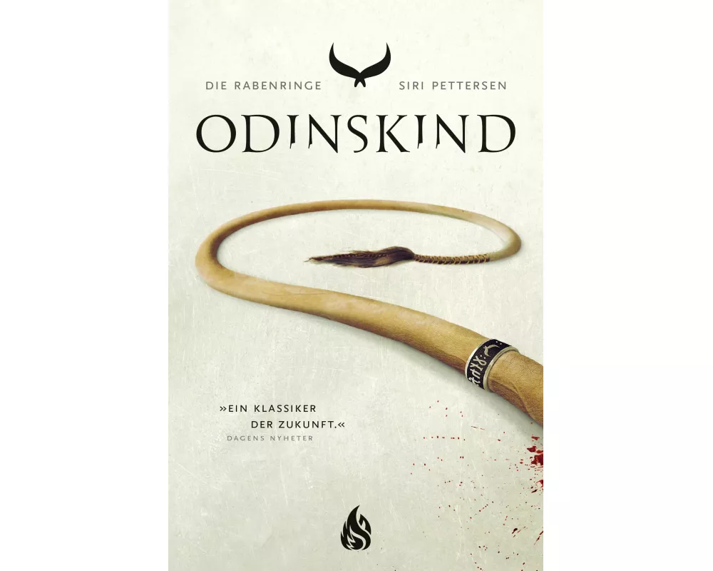 Die Rabenringe - Odinskind (Bd. 1)
