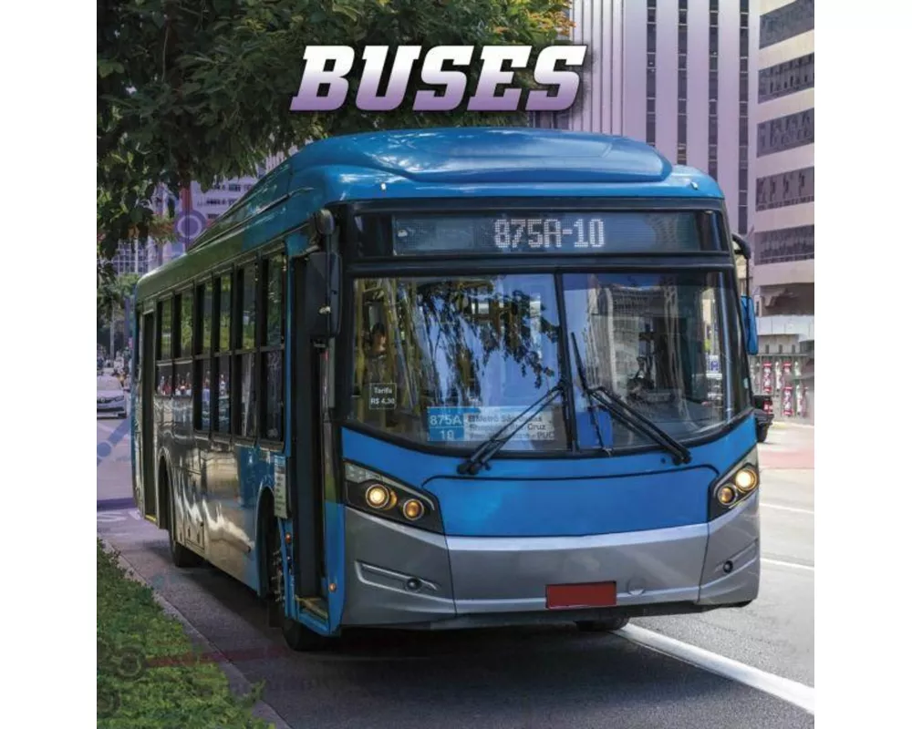 Buses