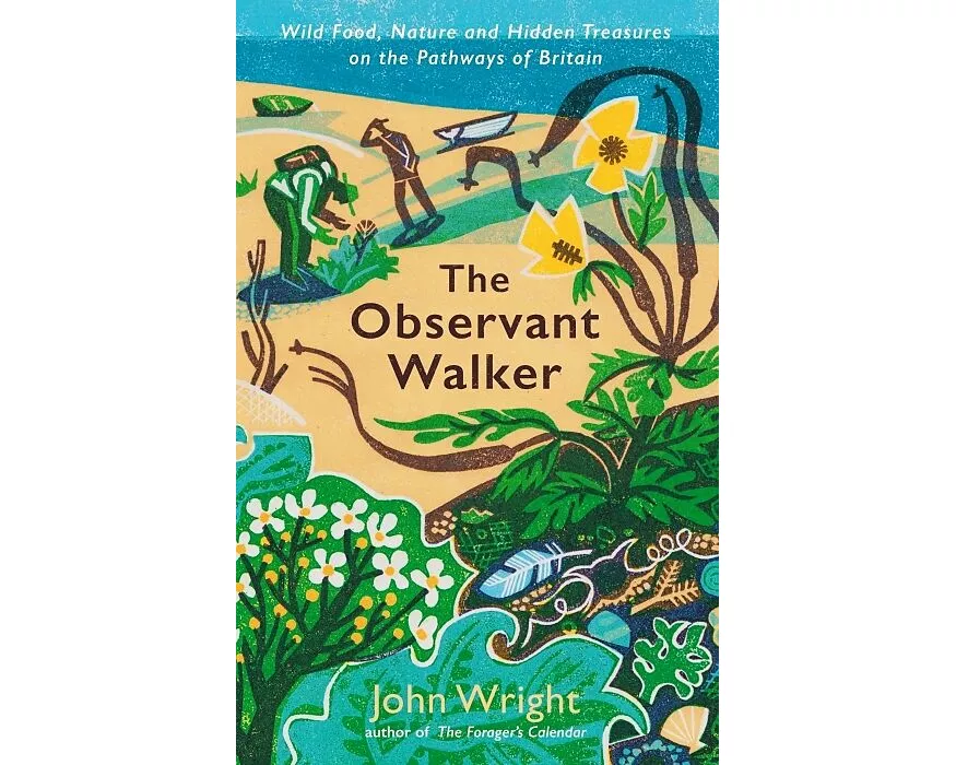 The Observant Walker