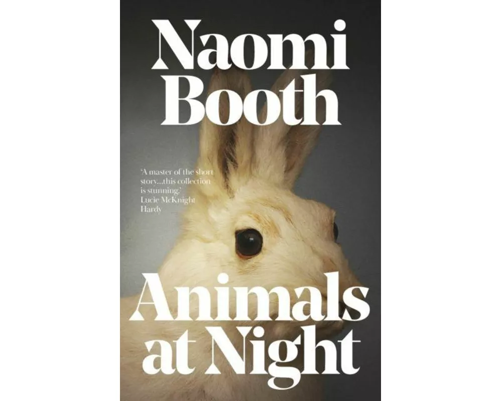 Animals At Night