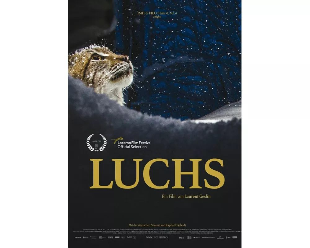 Luchs (DVD)