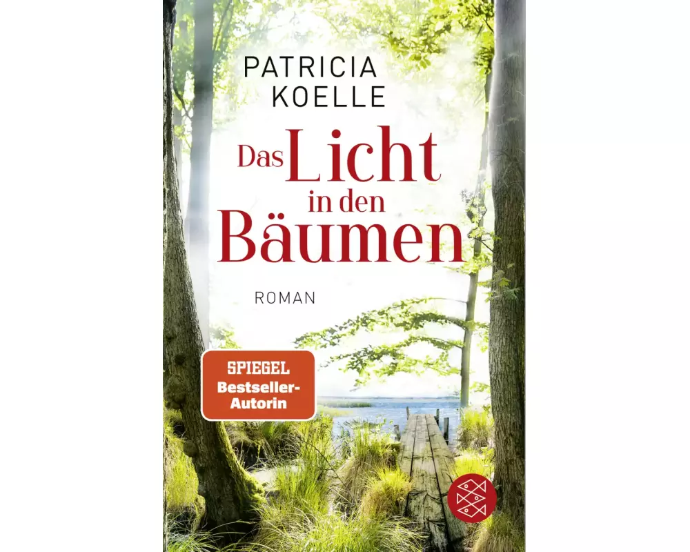 Das Licht in den Bäumen