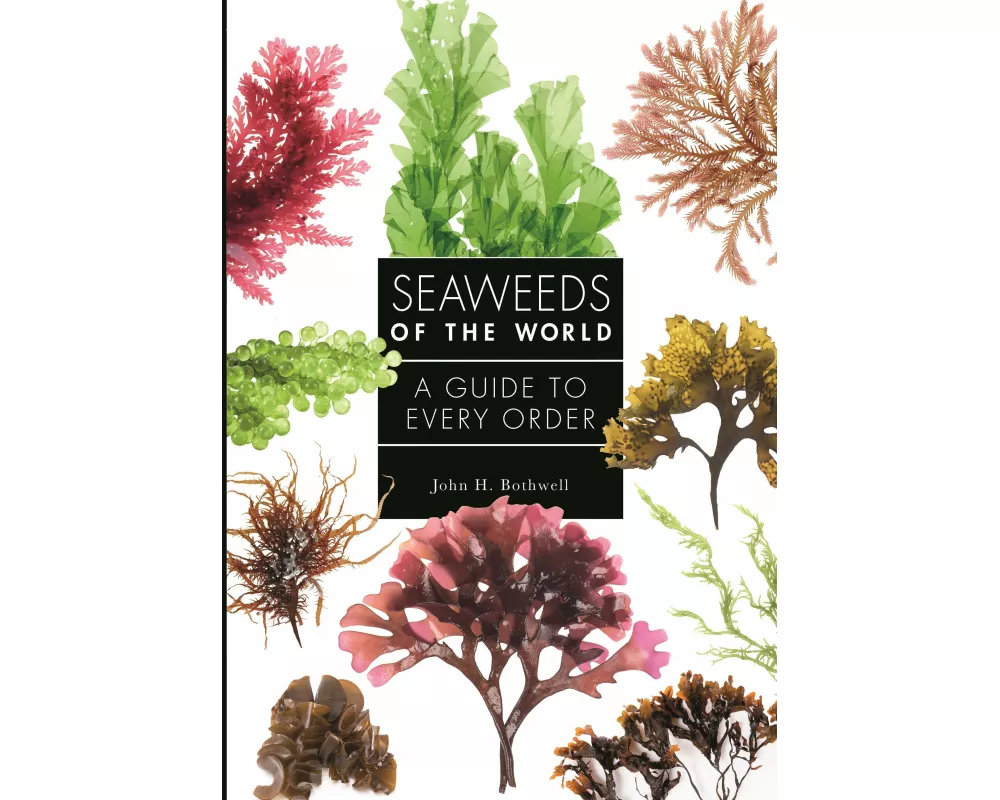 Seaweeds of the World