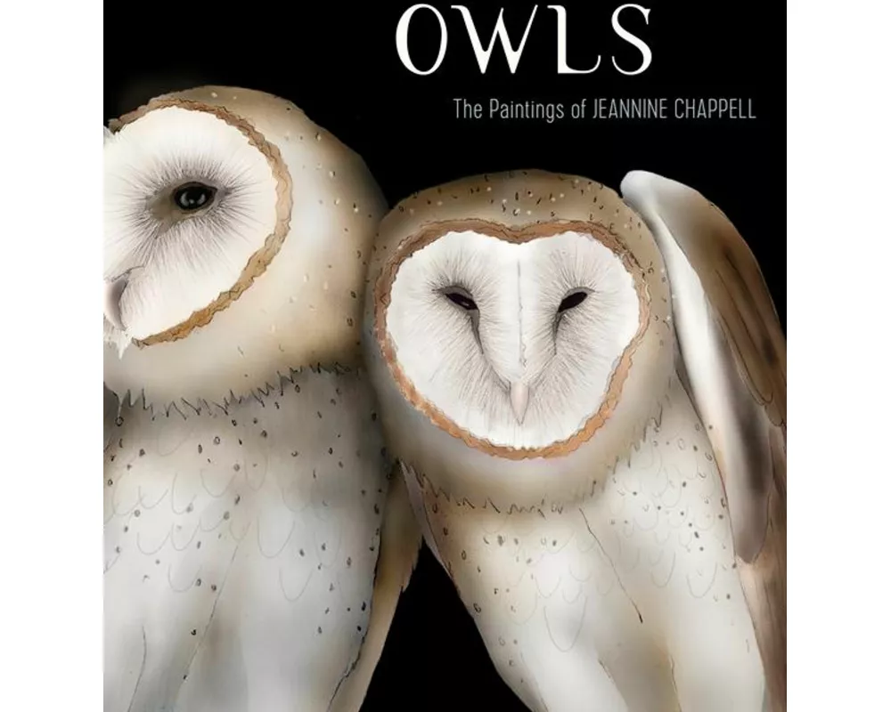 Owls The Paintings Of Jeannine Chappell