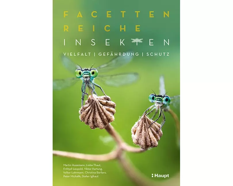 Facettenreiche Insekten