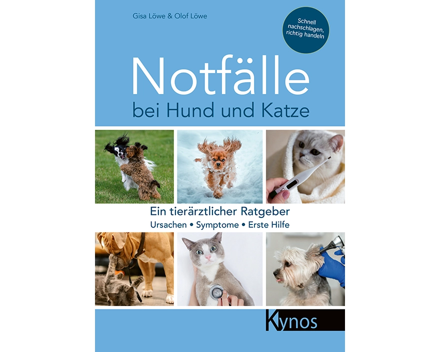Notfälle bei Hund und Katze