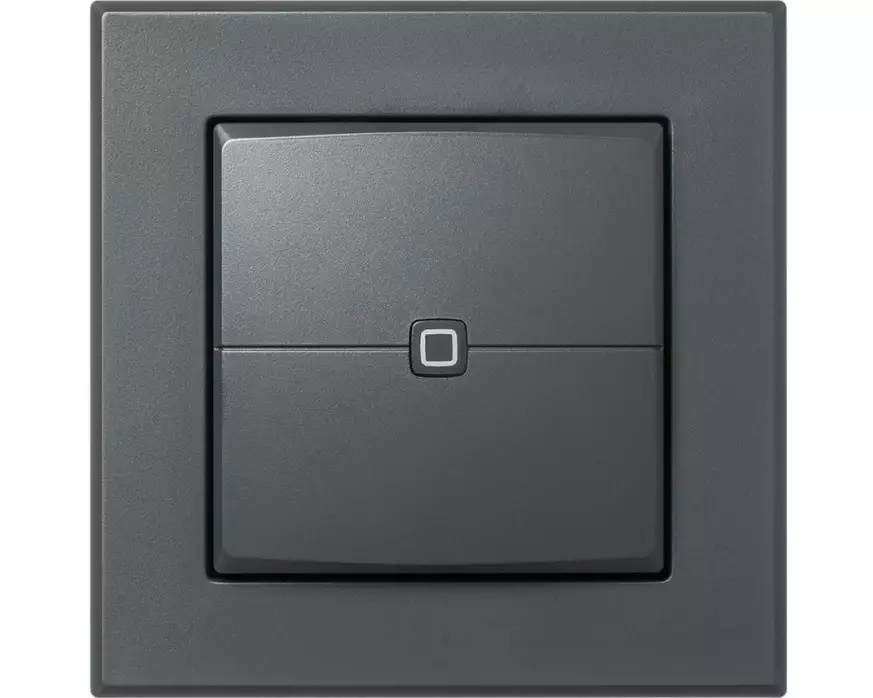 Homematic IP Wired Smart Home Wired Wandtaster 2-fach, Anthrazit