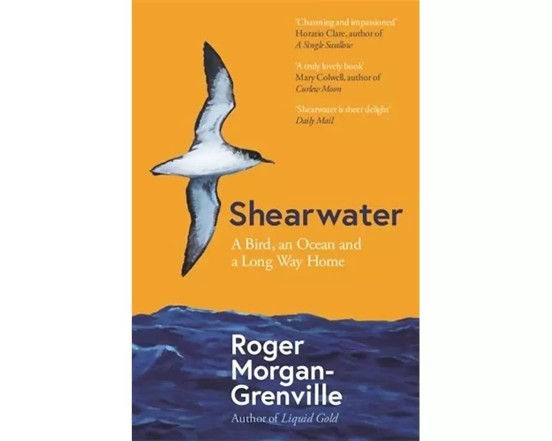 Shearwater