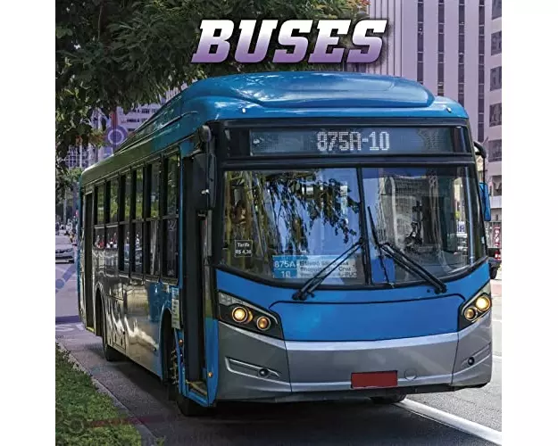 Buses
