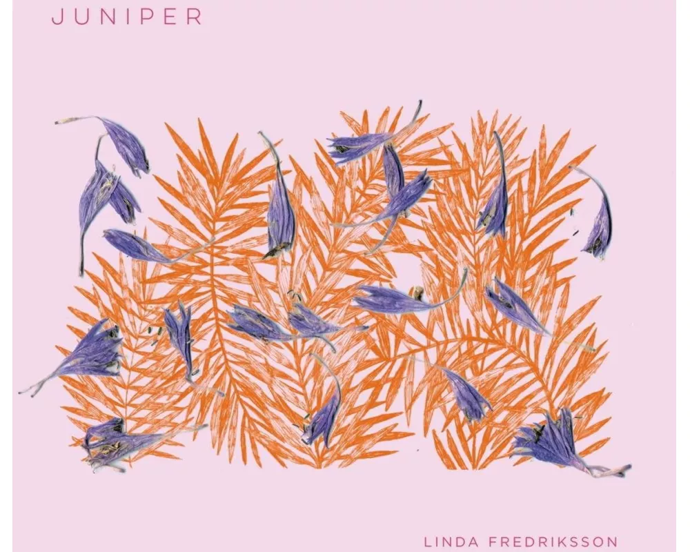 Juniper