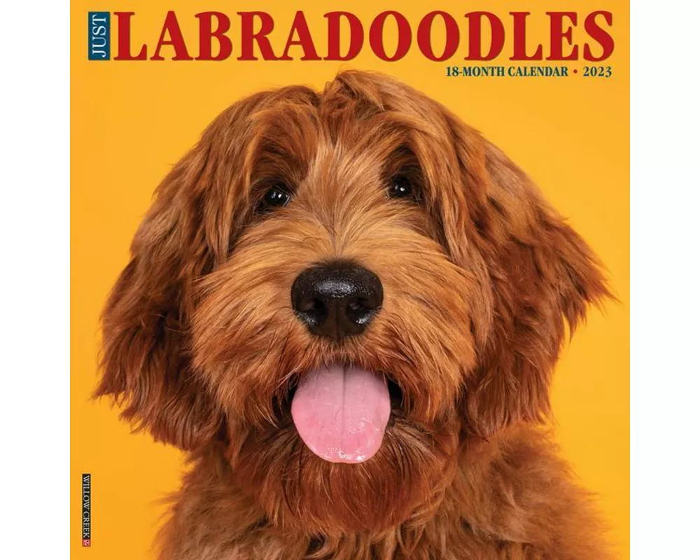 Just Labradoodles 2023 Wall Calendar
