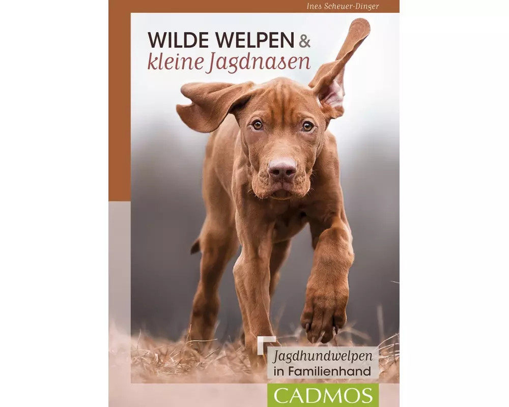 Wilde Welpen & kleine Jagdnasen