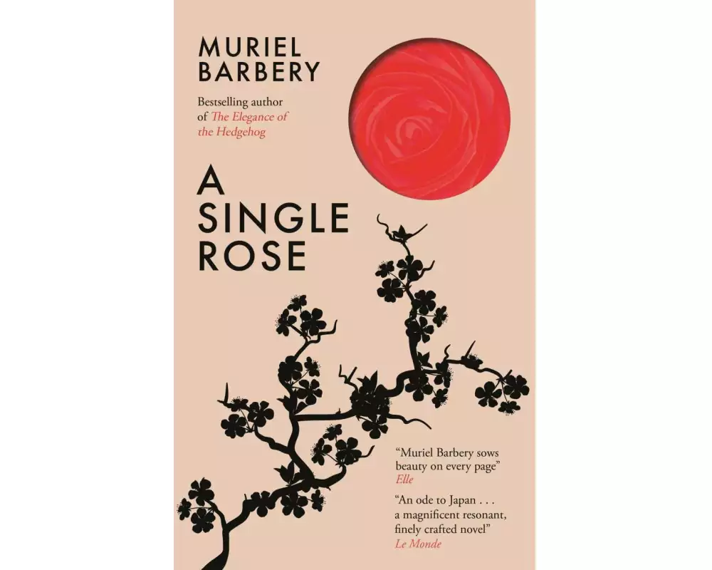 A Single Rose