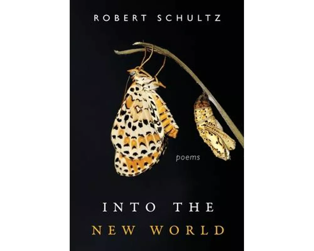 Into the New World