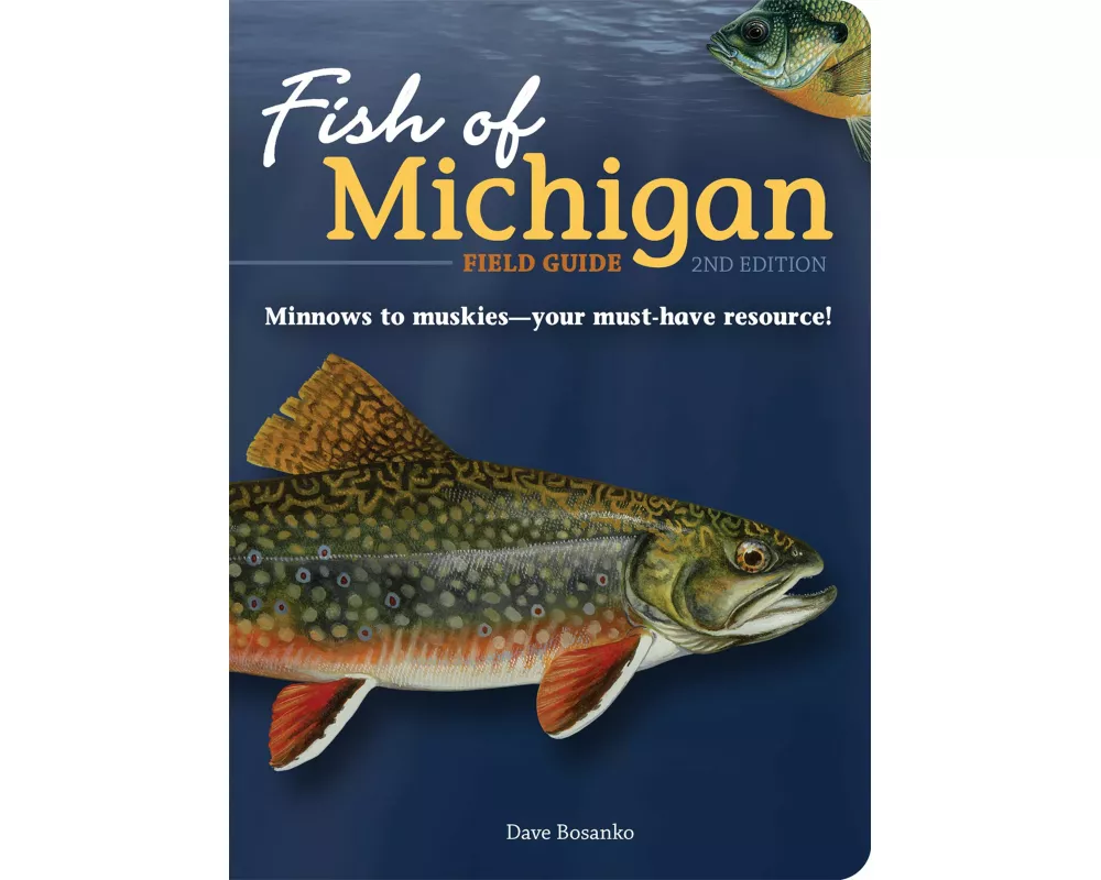 Fish of Michigan Field Guide