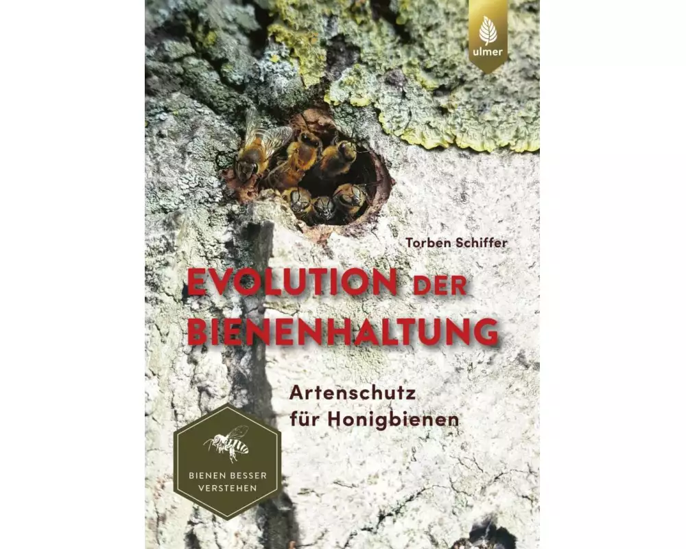 Evolution der Bienenhaltung