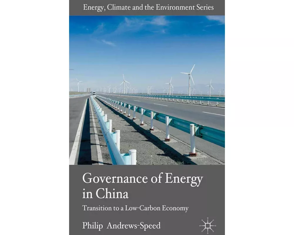 The Governance of Energy in China