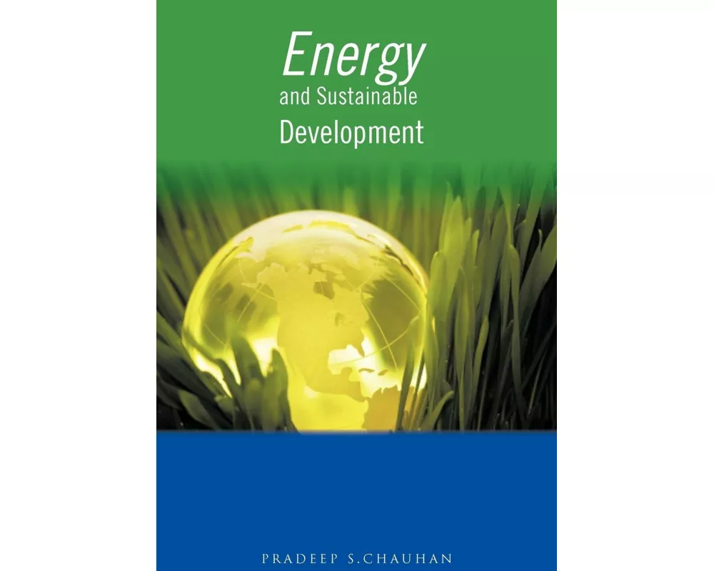Energy and Sustainable Development