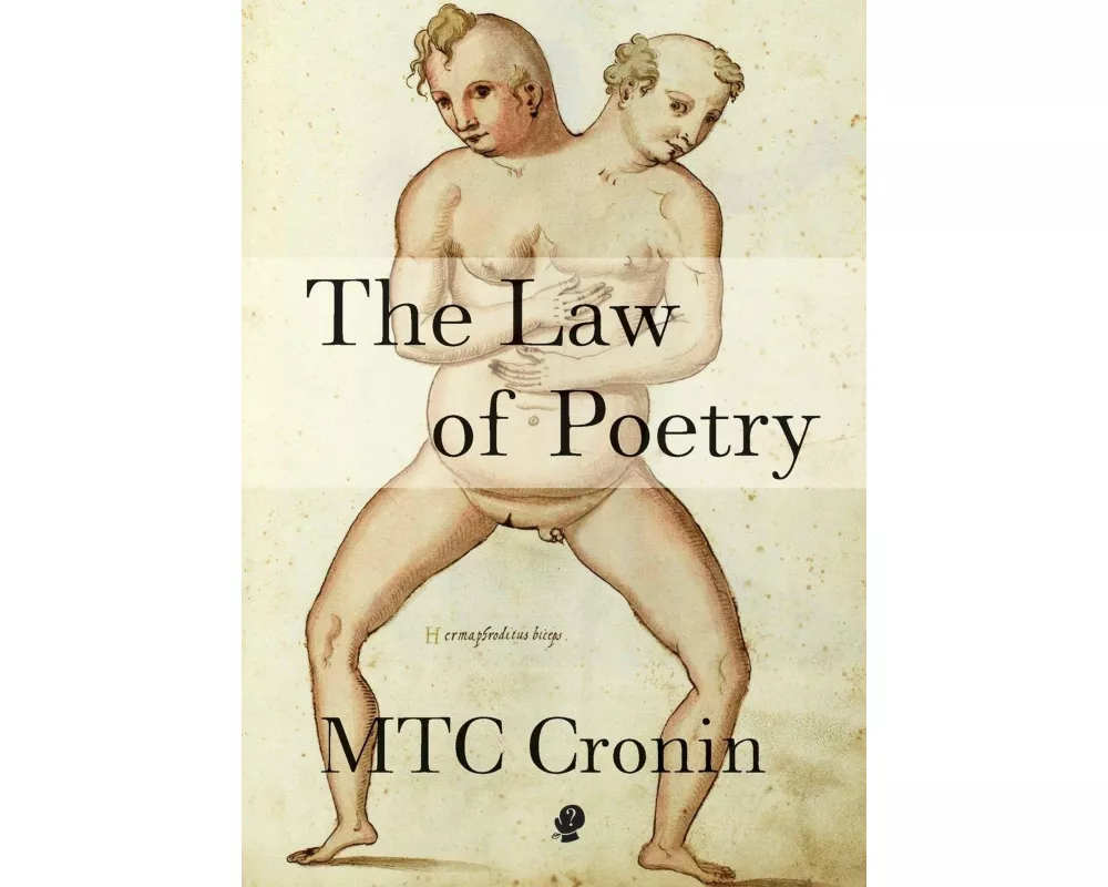 The Law of Poetry
