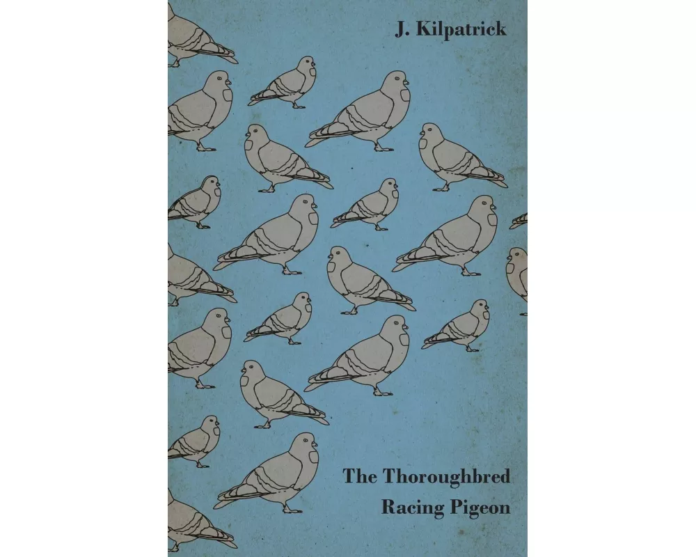The Thoroughbred Racing Pigeon