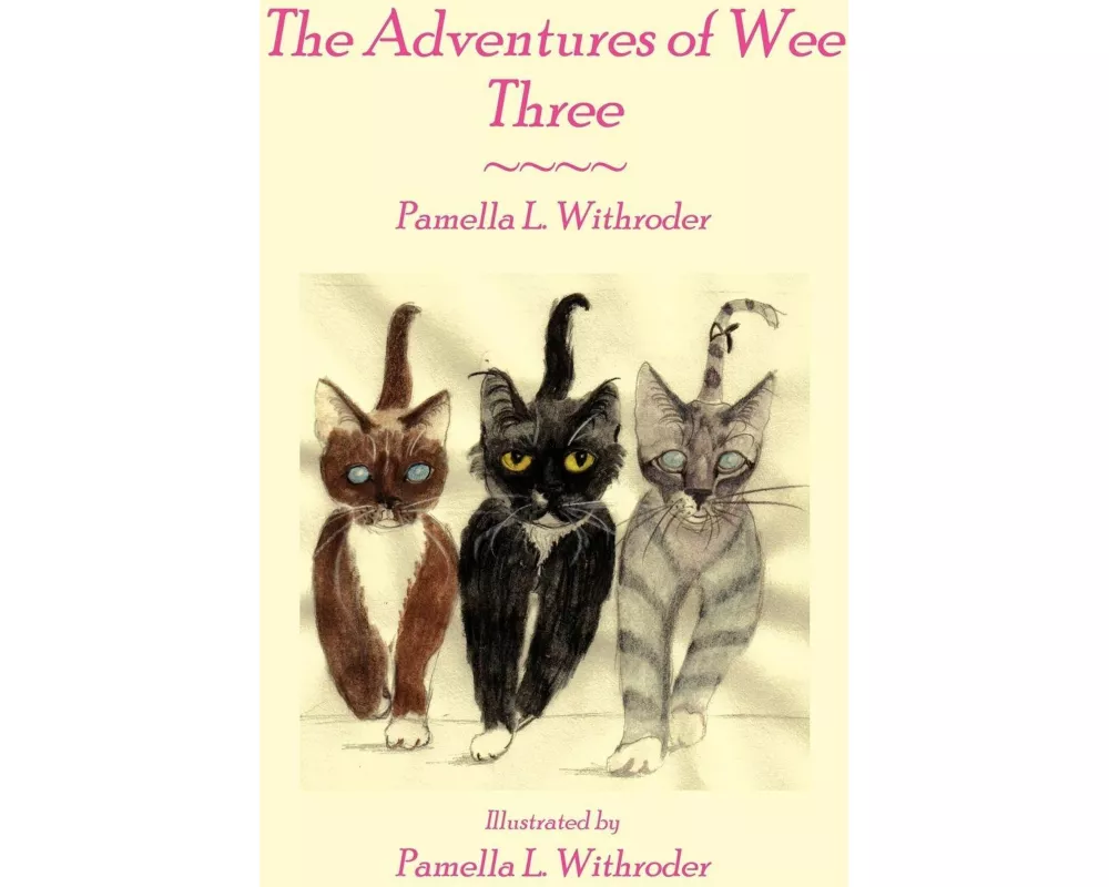 The Adventures of Wee Three