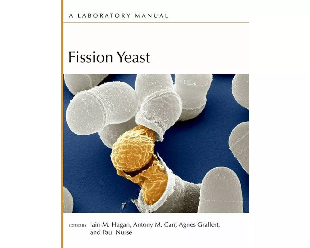 Fission Yeast