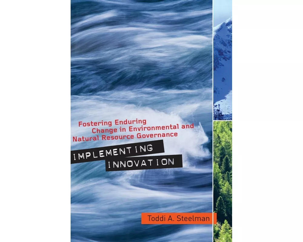 Implementing Innovation