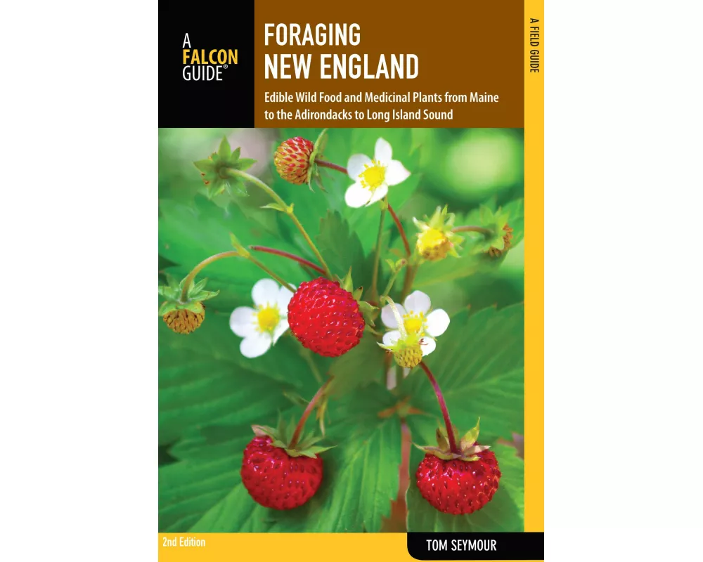 Foraging New England