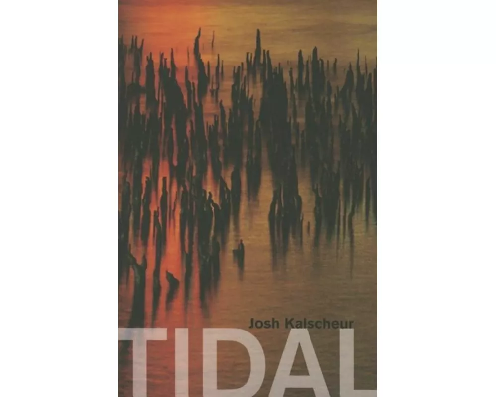 Tidal