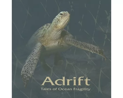 Adrift