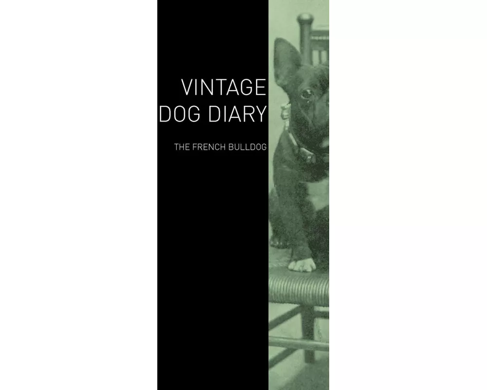 The Vintage Dog Diary - The French Bulldog